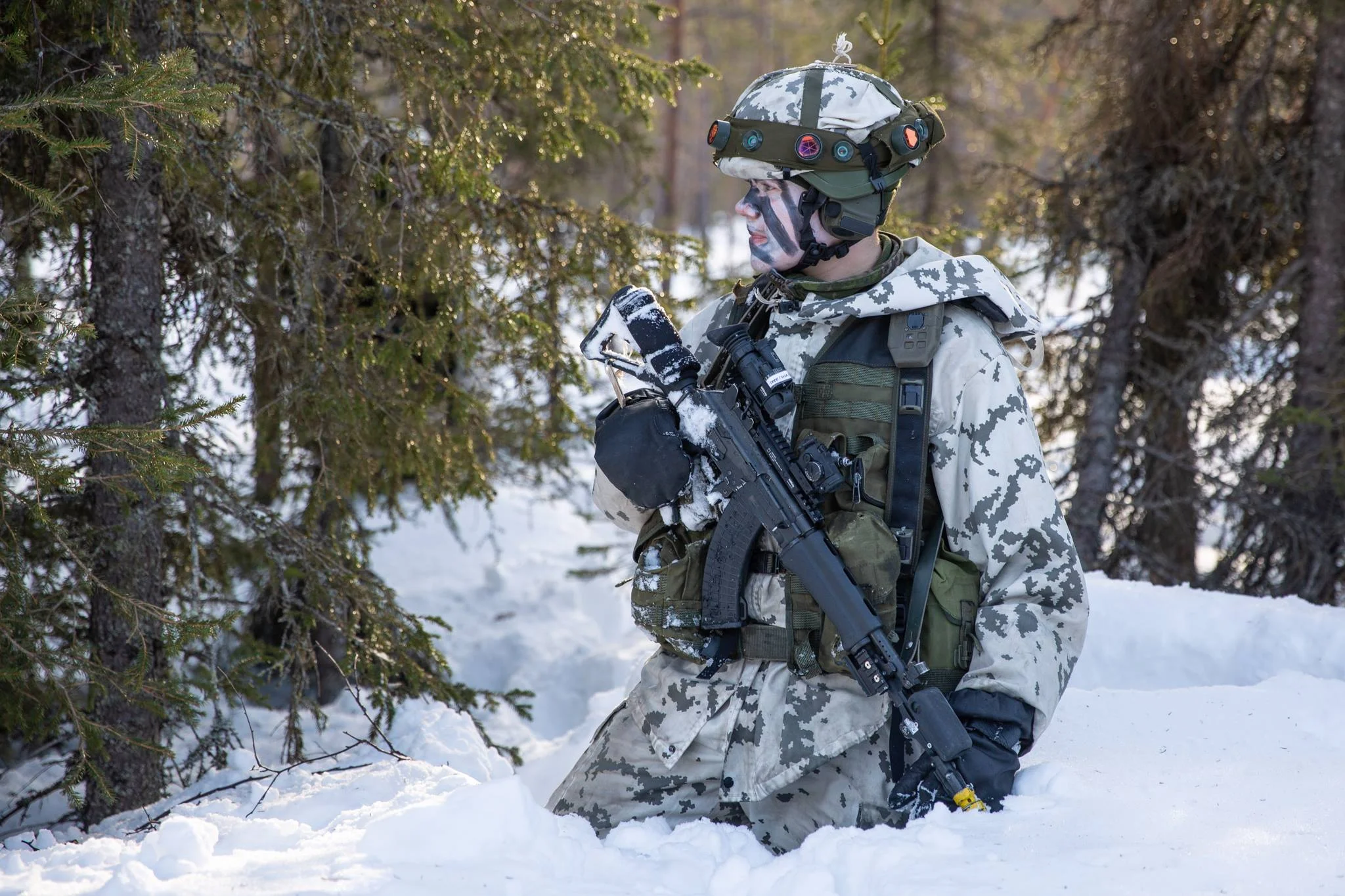 A Pan-Nordic Defense: Integrating Swedish And Finnish Military Assets A Pan-Nordic Defense: Integrating Swedish And Finnish Military Assets