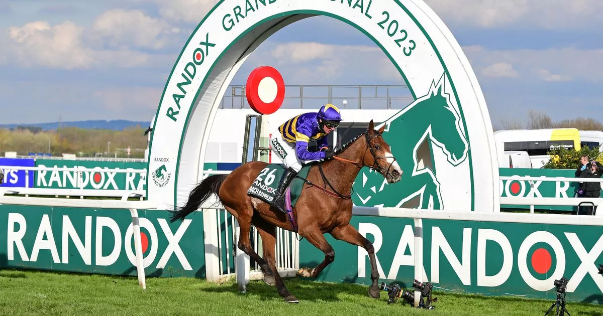 Grand National 2025: Key Runners And Aintree Predictions Grand National 2025: Key Runners And Aintree Predictions