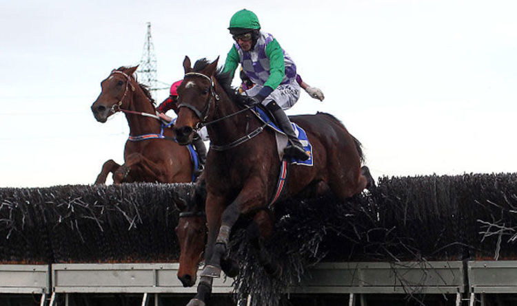 How Many Horses Have Died At The Grand National? (Pre-2025 Data) How Many Horses Have Died At The Grand National? (Pre-2025 Data)