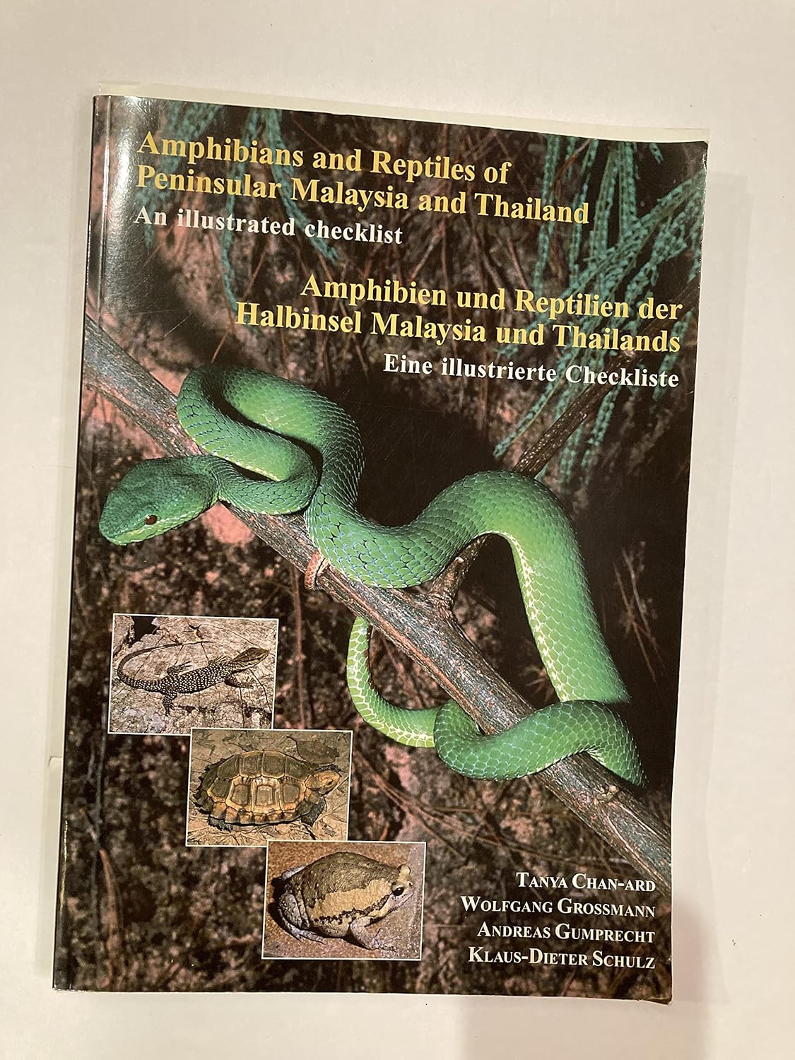 Neuer Atlas Dokumentiert Amphibien Und Reptilien In Thüringen