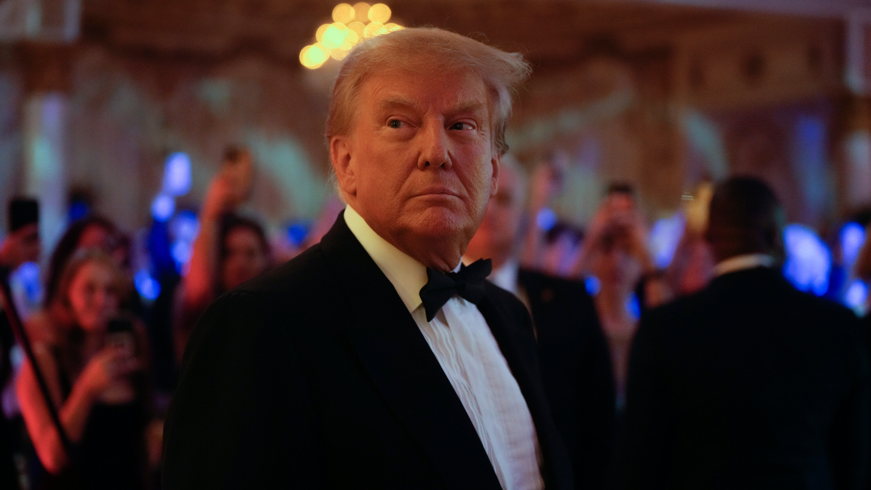 Tesla's Q1 Profit Drop: Impact Of Musk's Trump Administration Ties Tesla's Q1 Profit Drop: Impact Of Musk's Trump Administration Ties